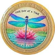 Dragonfly Pink Lotus Flower One Day at A Time Medallion Serenity Prayer Chip