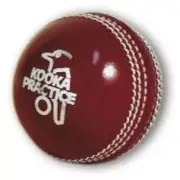 Kookaburra Practice Cricket ball 156 grams