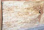 BLACK LINE Spalted Maple Wood 1099 Luthier Electric Guitar Top Set 21.5x16x.250