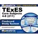 TExES Core Subjects 4-8 (211) Flashcard Study System: TExES Test Practice Questions & Review for the Texas Examinations of Educator Standards
