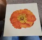 2005 Isaac Mizrahi for Target "Orange Poppy" Wooden Jewelry Box W Mirror