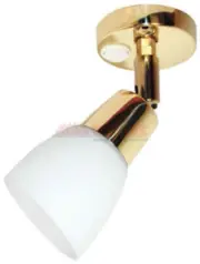 Brass LED Bunk Reading Lights White Glass Lens 12v 24v Caravan RV