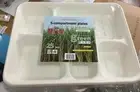 250 Pcs 5 Compartment Plates Sugarcane Biodegradable Eco Friendly Dinner Party