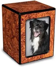 -Pet Photo Urn with Picture for Dog Ashes-Small Pet Urn for Ashes-Cremation Box