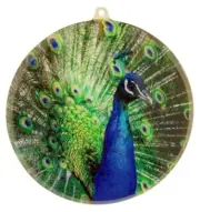 Acrylic Peacock Wildlife Suncatcher Window Ornament, 3 1/2 Inch