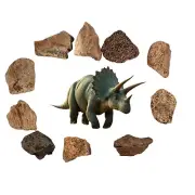 10 Individually Bagged Triceratops Fossil Bone Fragments - Hell Creek Formation