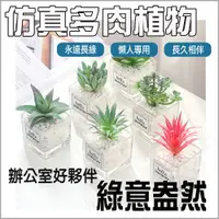 在飛比找蝦皮購物優惠-仿真多肉植物 辦公室盆栽 永生盆栽小盆栽 假盆栽 多肉植物 