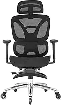 Ergolux Pro Ergonomic Mesh Office Chair with Footrest (Black) - ELPROERGFBA