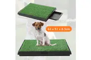 Pet Potty Grass Indoor Waste Tray Training Hygienic Dog Toilet Pad Loo Portable