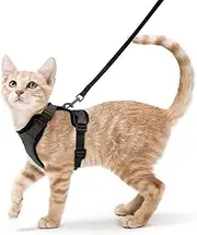Cat Harness and Leash Set for Small to Large Cats, Adjustable Cat Leash and Harness Set Escape Proof with Reflective Trim Universal Kitten Harness for Cats Puppies Outdoor Walking (Black, S)