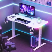 Advwin Electric Standing Desk Gaming Desk RGB LED Ergonomic Sit Stand Desk Carbon Fiber Desktop with Memory Lifting White 120cm