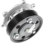 Water Pump Cooling Water Pump Compatible with SAI MG RX5 GS HS 950 RX8 MAXUS G10 2.0T 20L4E Engine(RX5 2.0T)
