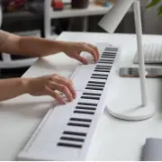 61 Key Foldable Piano, Portable Electric Keyboard with Full Size Keys, Recording