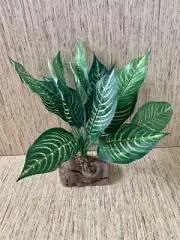 Soft Silk Artificial Zebra Plant With Drift Wood Base 12" Tall - Reptile Habitat