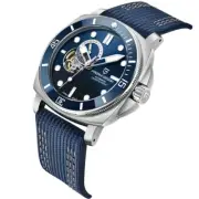 blue watch PAGANI DESIGN Hollow Mechanical Waterproof Sapphire Glass Luxury Men