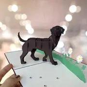 Dark Brown Labrador Dog in Daisy Garden Pop Up Card
