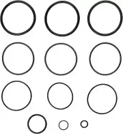 Zodiac R0358000 O-Ring Kit, Jandy DE & Cartridge Filters