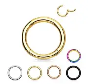 G23 Titanium 16g 14mm Seamless Segment Rings Hoop Nose Earring Labret Septum