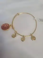 NWT Alex and Ani Gold Tone ' I solemnly swear I'm Up to no good ' Bangle