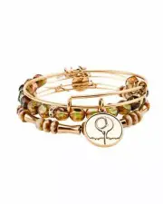Alex and Ani Set"Tee Time" Expandable Bangles bracelet