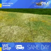 Model Scene F003 Cut Meadow Late summer 18/28 cm Diorama upgrade accessories