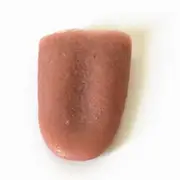 Realistic Fake Tongue Prank Magic Tricks Prop - Farfi Funny Horrific Toys