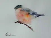 Bullfinch, Birds, Watercolor artwork, Handmade, Original painting on paper