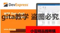 在飛比找露天拍賣優惠-【小可國際購】DevExpress WPF視頻教學教程