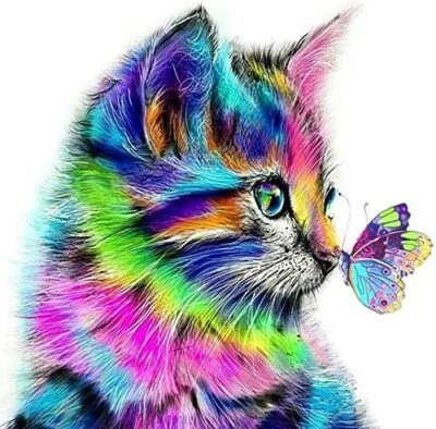 Paint By Numbers DIY Digital Canvas Oil Painting Home Decor Cat Kid Adults GIFTS