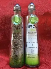 Pair "CIROC" Apple Vodka Mini Liquor 50ml Bottles UpCycled SALT & PEPPER Shakers