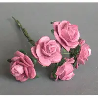 在飛比找蝦皮購物優惠-【袖珍屋】紫色玫瑰花(特大)--5朵/束(F2203A012