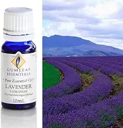 Gumleaf Essentials Lavender Tasmanian Essential Oil - 10ml, Cruelty Free & Vegan, 100% Pure & Natural