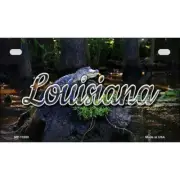 Louisiana Alligator Swamp Novelty Metal Motorcycle Plate