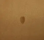 Tandy Leather CRAFTOOL Stamping Tool - PEAR SHADER - P234