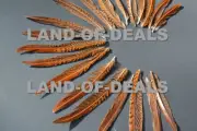 20 Pheasant feathers Golden pheasant brown feathers natural real 3.5-6 in long