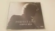 Simply Red - Perfect Love 2005 CD Maxi Single New Sealed 8 tracks