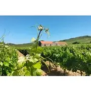 Save 15.00%! Óbidos, Mafra, Wineries and Tastings Day Private Tour from Lisbon