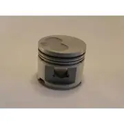 Austral Piston Set - PO1010A STD