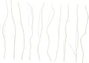 10Pcs Willow Diffuser Sticks for Aroma Fragrance Decoration Natural Oil Diffuser Sticks for Living Room Bedroom Bathroom Office More Unique Scent Accessory for Home