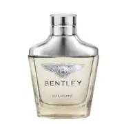 Bentley Infinite By Bentley 100ml Edts Mens Fragrance