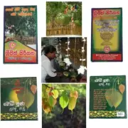 Bodhi Pooja Aromatic Herb fragrant Seth pacification White sandalwood Vetiveria