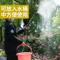 在飛比找蝦皮購物優惠-充電式電動噴壺洗車抽水澆花灑水噴霧器園藝水槍噴槍消毒打家用