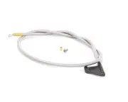 Randell Spring, 30 Gold Door For 73 Curve Glass HD SPR073 - Genuine OEM