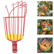 Garden Nut Gatherer Lemon Gatherer Fruit Picker Fruit Tree Picker Fruit Grabber