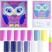Latch Hook Rug Kits for Adults,DIY Cute Pattern Latch Hook Kits,DIY Rug Tapestry Kits,Rug DIY Craft Kit for Home Decoration,DIY Latch Hook Kits for Beginners Children Adults and Seniors (Owl)