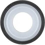 Crankshaft Rear Seal OSS0010