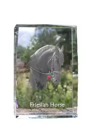 Friesian Horse crystal with a horse Art-Dog