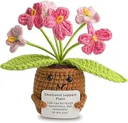 Aruigu Pocket Hug Forget-Me-Not Flowers - Positive Potato Potato Series Crochet Lucky Charm Get Well Soon Gifts Exam Certificate Birthday Gift Friends Colleagues
