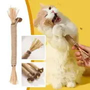 Dacitiery Silvervine Chew Sticks Cat Toys, Natural Cat Teeth Nip US