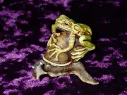 Eyre Designs Slow Go II Frog On Snail ‘Trial’